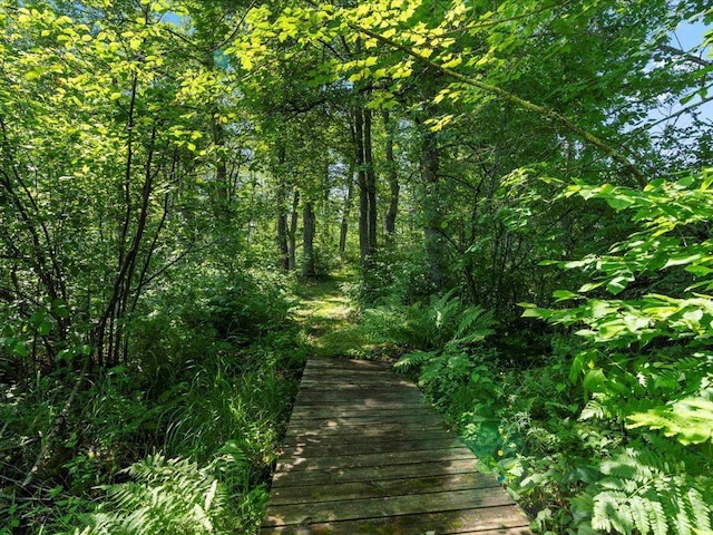 TBD Sunset Hill Rd NE, Outing, MN 56662 - photo 44