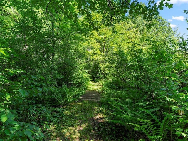 TBD Sunset Hill Rd NE, Outing, MN 56662 - photo 45