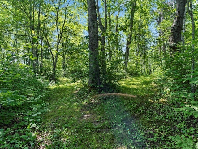 TBD Sunset Hill Rd NE, Outing, MN 56662 - photo 46