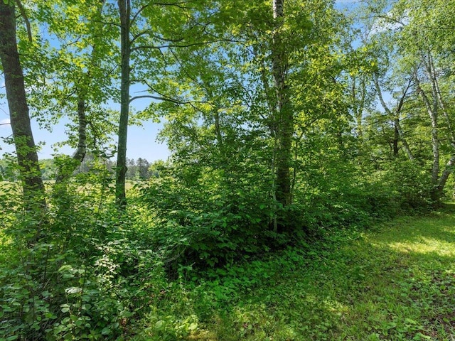 TBD Sunset Hill Rd NE, Outing, MN 56662 - photo 48