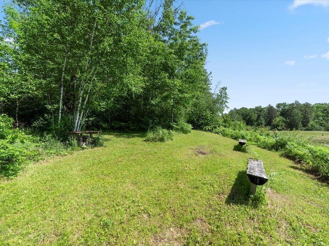 TBD Sunset Hill Rd NE, Outing, MN 56662 - photo 53
