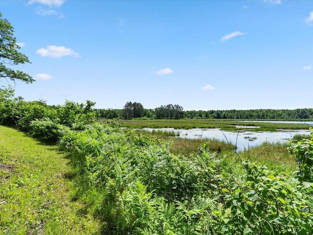 TBD Sunset Hill Rd NE, Outing, MN 56662 - photo 60