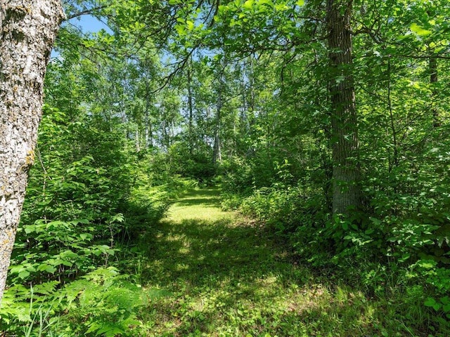 TBD Sunset Hill Rd NE, Outing, MN 56662 - photo 61