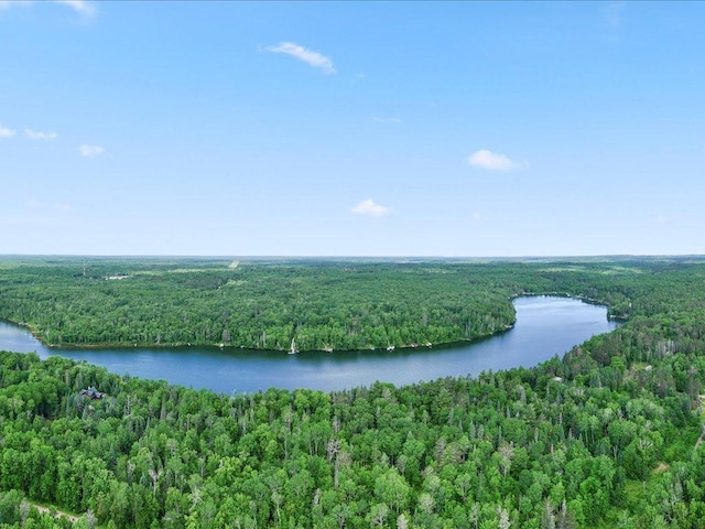 TBD Sunset Hill Rd NE, Outing, MN 56662 - photo 68