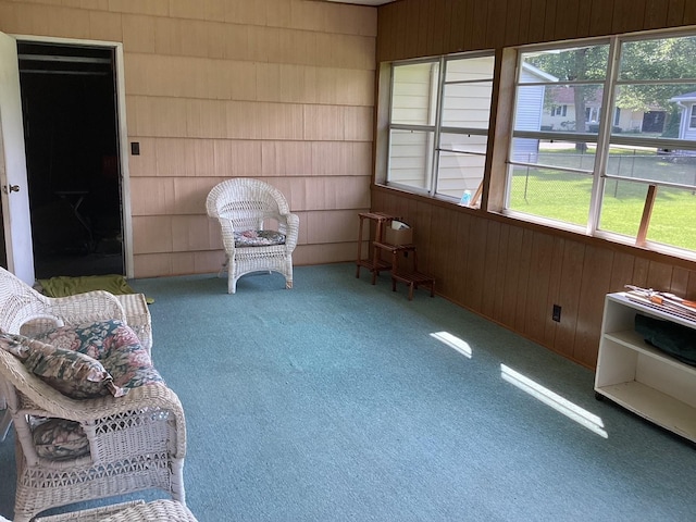 1018 Crestview Rd, Albert Lea, MN 56007 - photo 5