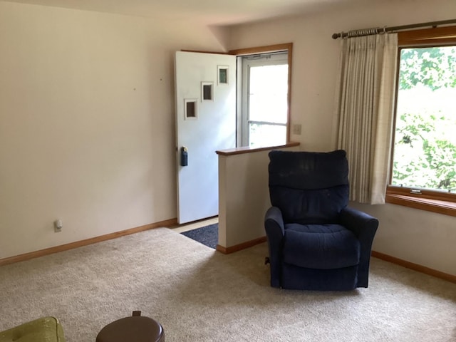 1018 Crestview Rd, Albert Lea, MN 56007 - photo 9