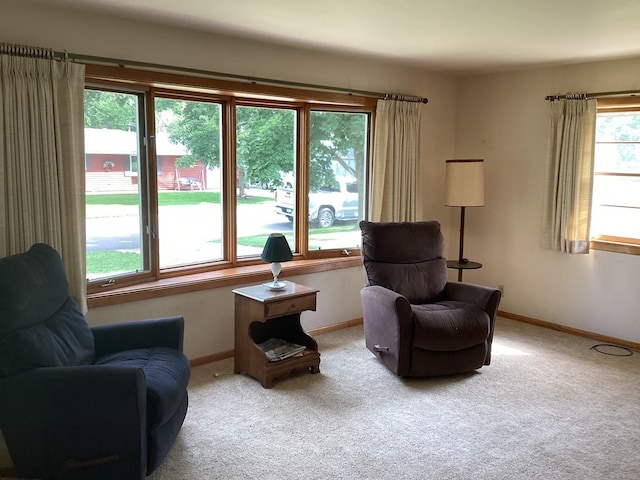 1018 Crestview Rd, Albert Lea, MN 56007 - photo 10