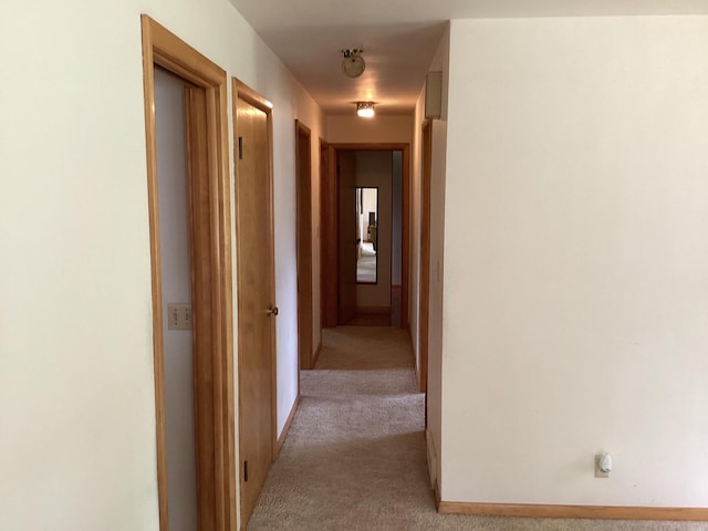 1018 Crestview Rd, Albert Lea, MN 56007 - photo 14