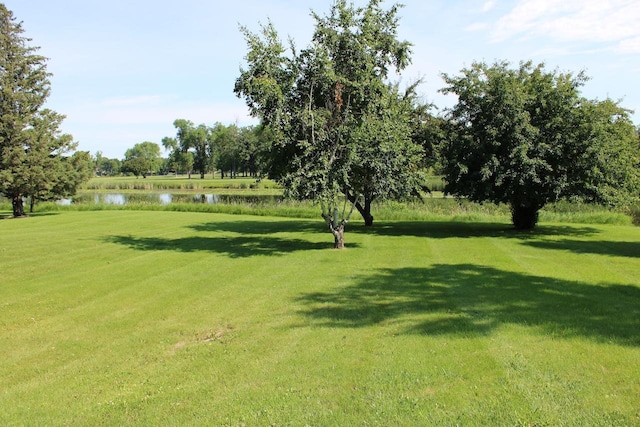 1805 Nelson Dr, Thief River Falls, MN 56701 - photo 3