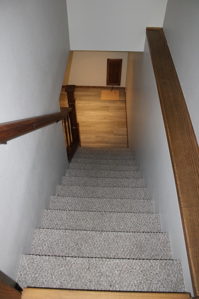 1805 Nelson Dr, Thief River Falls, MN 56701 - photo 31