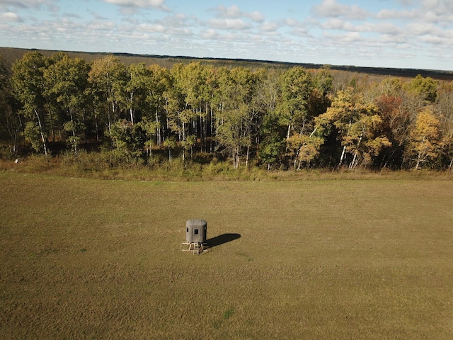 10563 Country View Dr SW, Bemidji, MN 56601 - photo 11