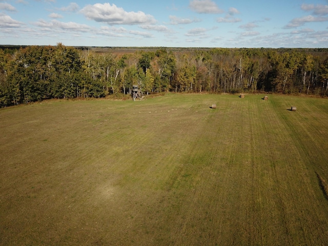 10563 Country View Dr SW, Bemidji, MN 56601 - photo 12