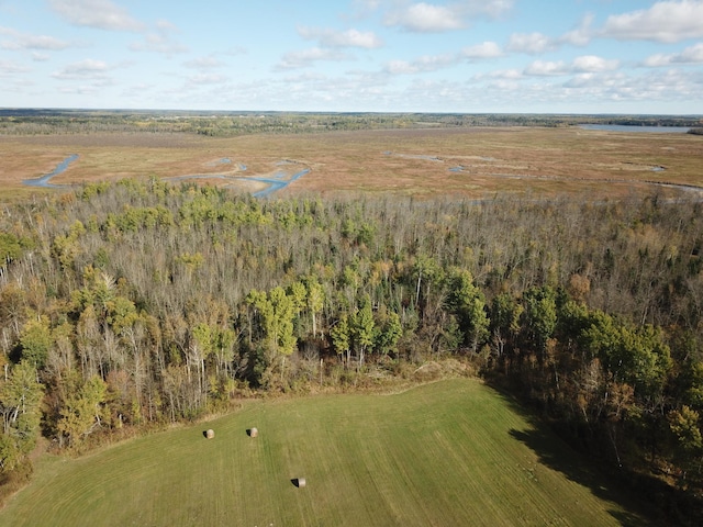10563 Country View Dr SW, Bemidji, MN 56601 - photo 14