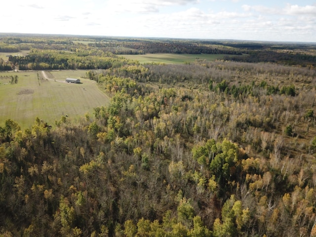 10563 Country View Dr SW, Bemidji, MN 56601 - photo 21
