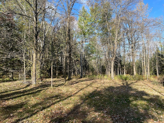 10563 Country View Dr SW, Bemidji, MN 56601 - photo 60