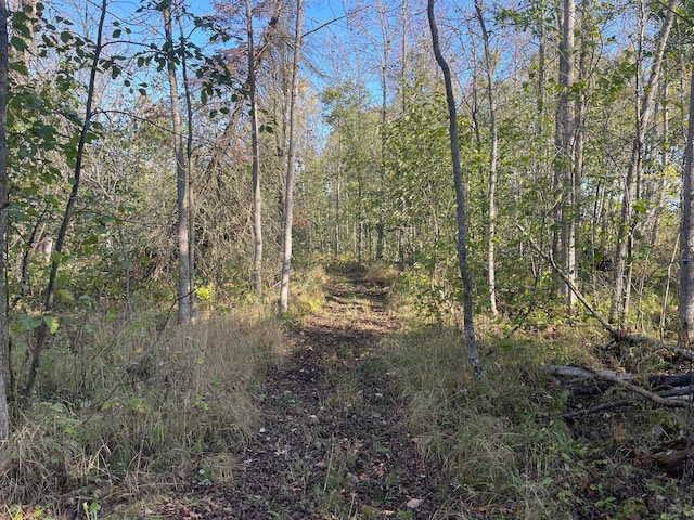 10563 Country View Dr SW, Bemidji, MN 56601 - photo 62