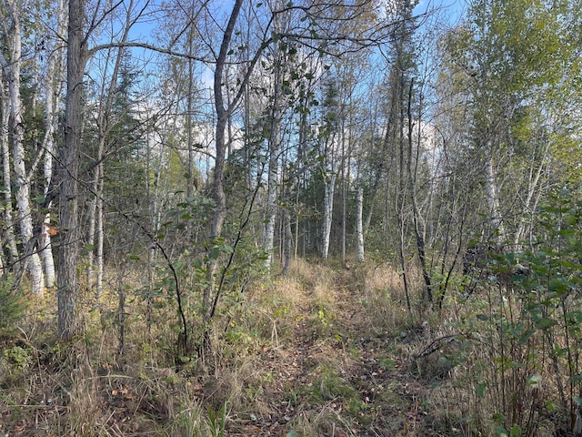 10563 Country View Dr SW, Bemidji, MN 56601 - photo 65