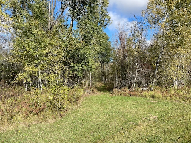 10563 Country View Dr SW, Bemidji, MN 56601 - photo 74