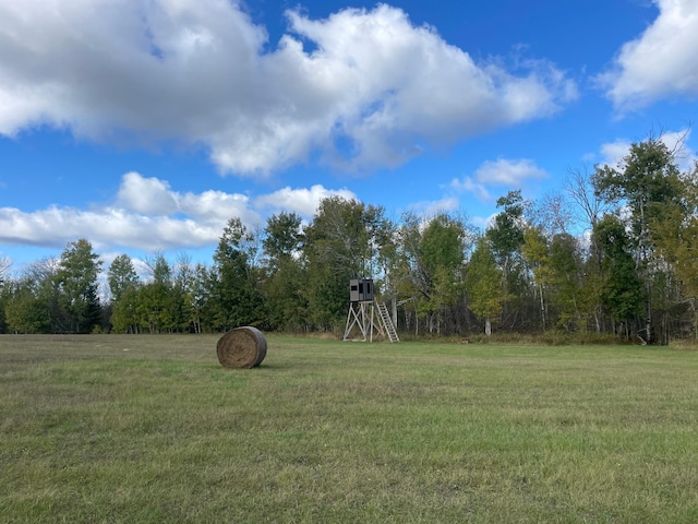 10563 Country View Dr SW, Bemidji, MN 56601 - photo 76