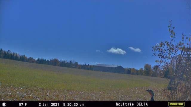 10563 Country View Dr SW, Bemidji, MN 56601 - photo 87
