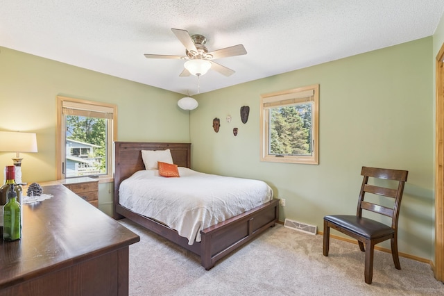 100 1st St, Delano, MN 55328 - photo 10