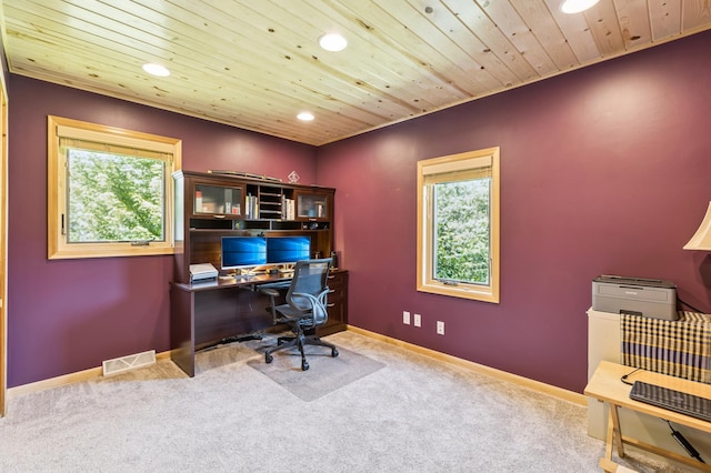 100 1st St, Delano, MN 55328 - photo 12