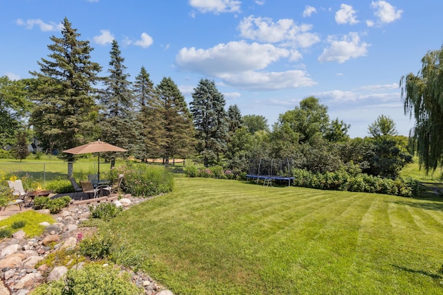 100 1st St, Delano, MN 55328 - photo 25