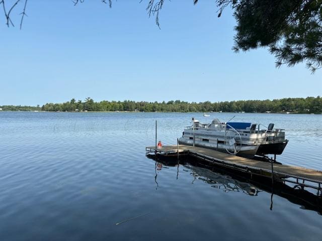 2827 State Highway 84 NW, Longville, MN 56655 - photo 9