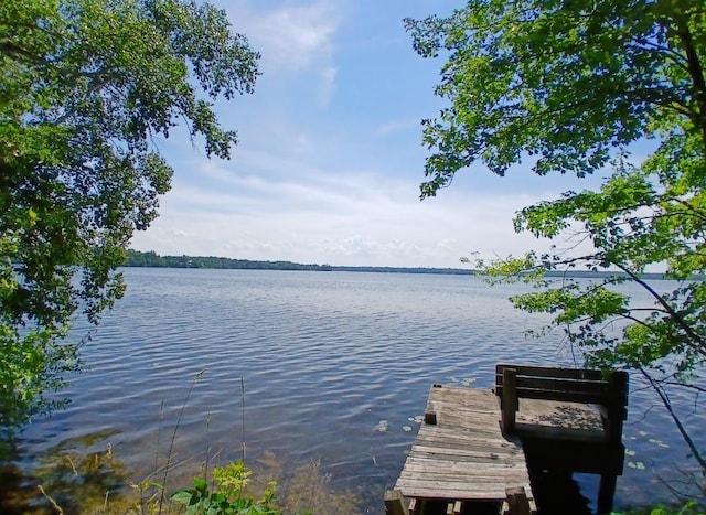 29793 State Highway 38, Arbo Twp, MN 55744 - photo 9