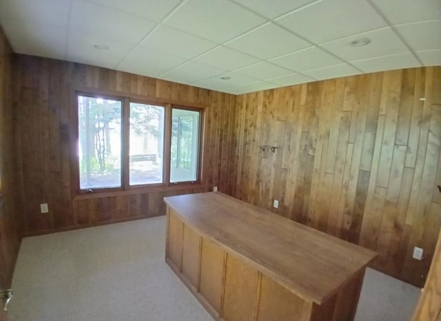 29793 State Highway 38, Arbo Twp, MN 55744 - photo 25