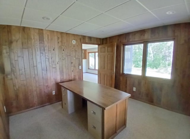 29793 State Highway 38, Arbo Twp, MN 55744 - photo 26