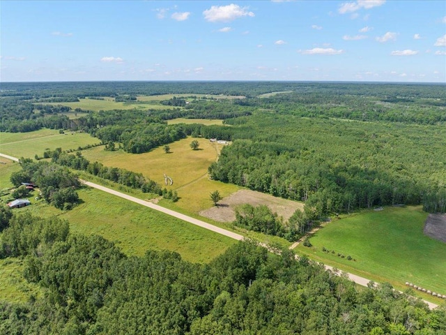 4233 56th Ave SW, Bungo Twp, MN 56474 - photo 2
