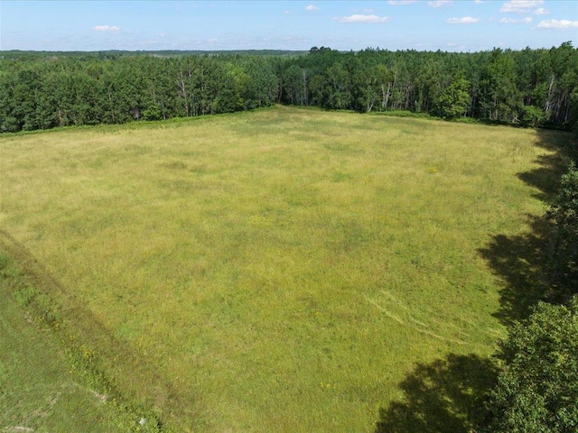 4233 56th Ave SW, Bungo Twp, MN 56474 - photo 4