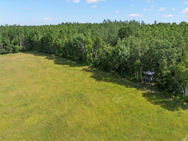 4233 56th Ave SW, Bungo Twp, MN 56474 - photo 5