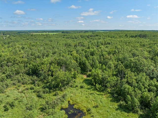 4233 56th Ave SW, Bungo Twp, MN 56474 - photo 8