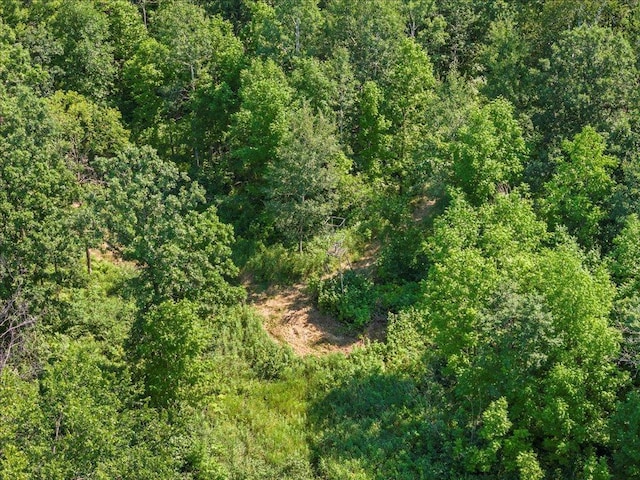 4233 56th Ave SW, Bungo Twp, MN 56474 - photo 10