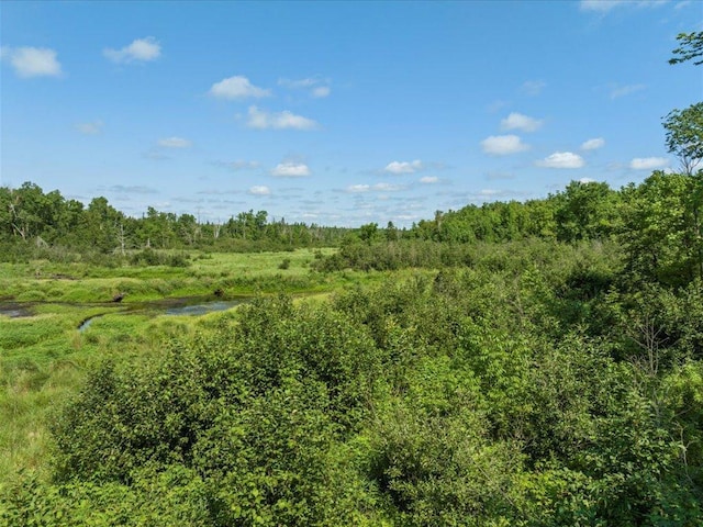 4233 56th Ave SW, Bungo Twp, MN 56474 - photo 12