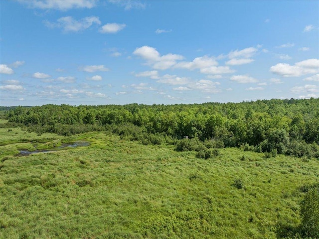 4233 56th Ave SW, Bungo Twp, MN 56474 - photo 13