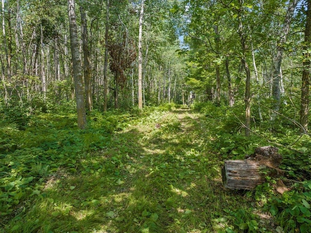 4233 56th Ave SW, Bungo Twp, MN 56474 - photo 18