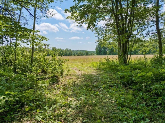 4233 56th Ave SW, Bungo Twp, MN 56474 - photo 19