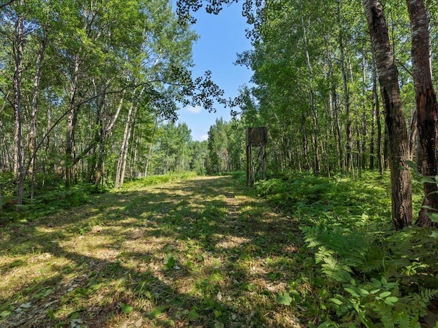 4233 56th Ave SW, Bungo Twp, MN 56474 - photo 34
