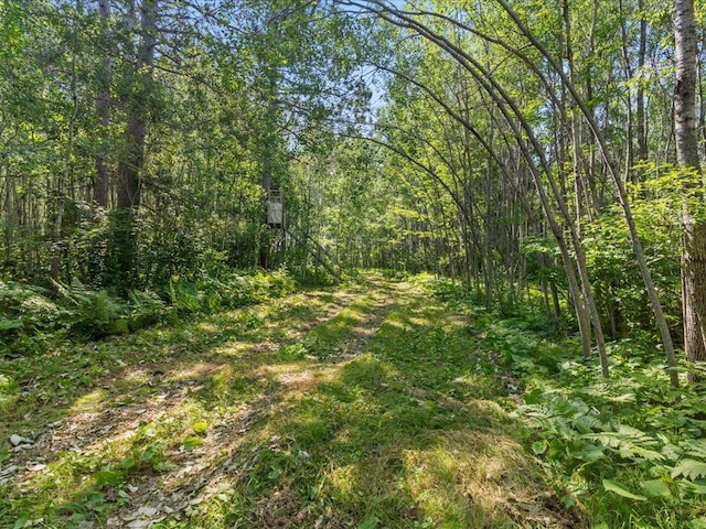 4233 56th Ave SW, Bungo Twp, MN 56474 - photo 35