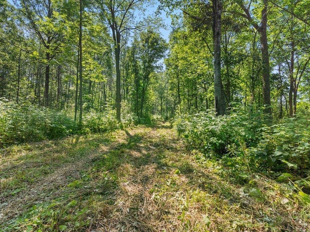 4233 56th Ave SW, Bungo Twp, MN 56474 - photo 36