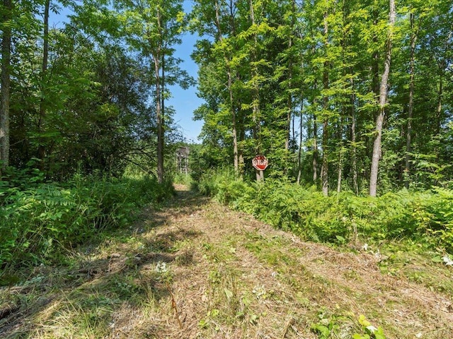 4233 56th Ave SW, Bungo Twp, MN 56474 - photo 37