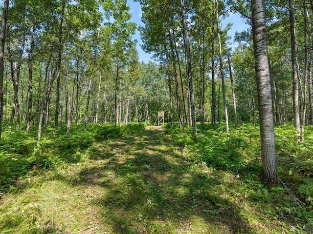 4233 56th Ave SW, Bungo Twp, MN 56474 - photo 38