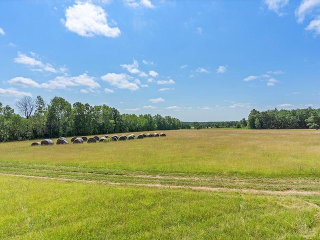 4233 56th Ave SW, Bungo Twp, MN 56474 - photo 39