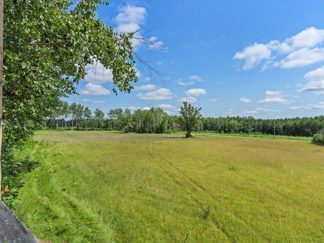 4233 56th Ave SW, Bungo Twp, MN 56474 - photo 40