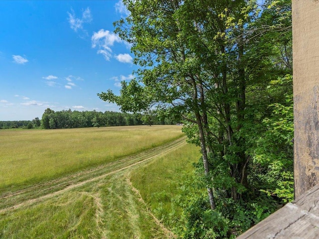 4233 56th Ave SW, Bungo Twp, MN 56474 - photo 41