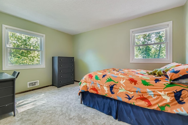 9710 Avocet St NW, Coon Rapids, MN 55433 - photo 6