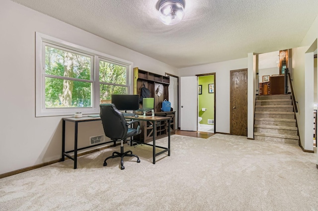 9710 Avocet St NW, Coon Rapids, MN 55433 - photo 10